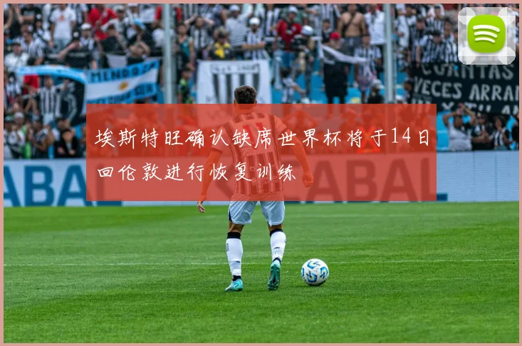 埃斯特旺确认缺席世界杯将于14日回伦敦进行恢复训练