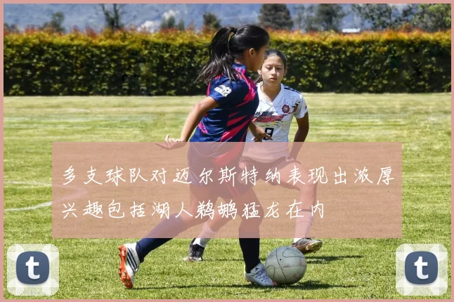 多支球队对迈尔斯特纳表现出浓厚兴趣包括湖人鹈鹕猛龙在内