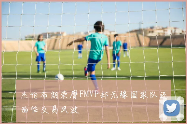 杰伦布朗荣膺FMVP却无缘国家队还面临交易风波